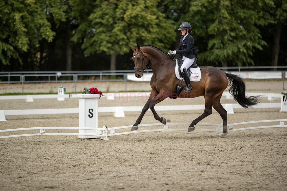 AF1I8122.jpg